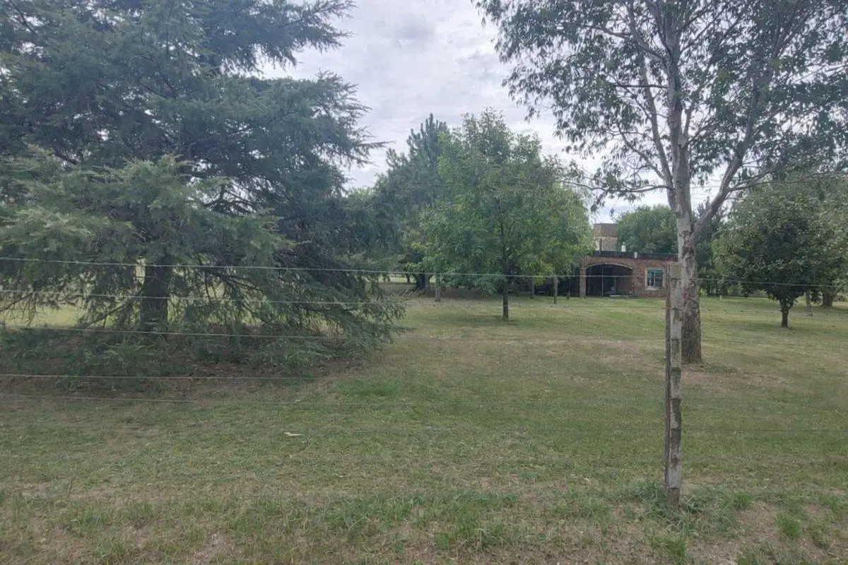 TERRENO/LOTE EN VENTA OLIVEROS 625 m2 2