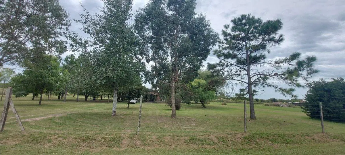 TERRENO / LOTE EN VENTA OLIVEROS 1250 m2 5