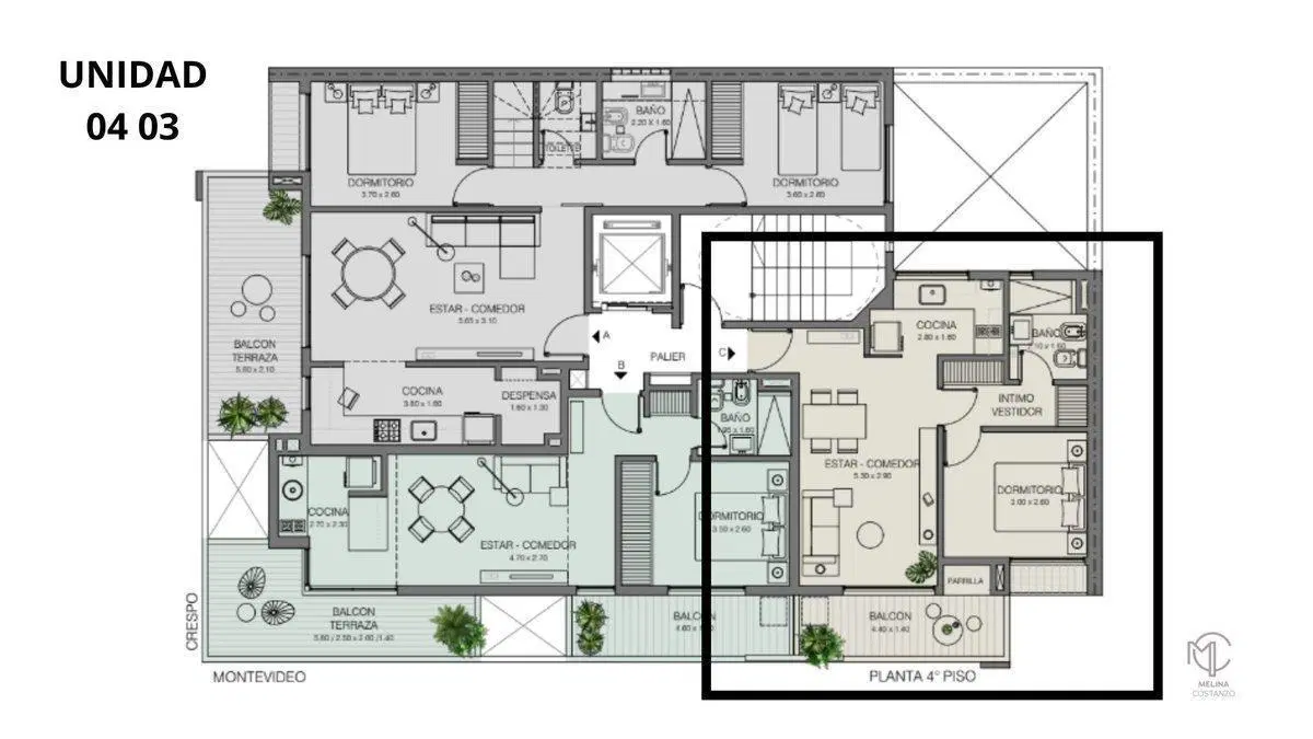 Plano 1