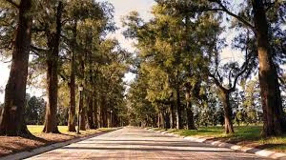 Venta Lote 1000m Azahares del Paraná Permuta 3