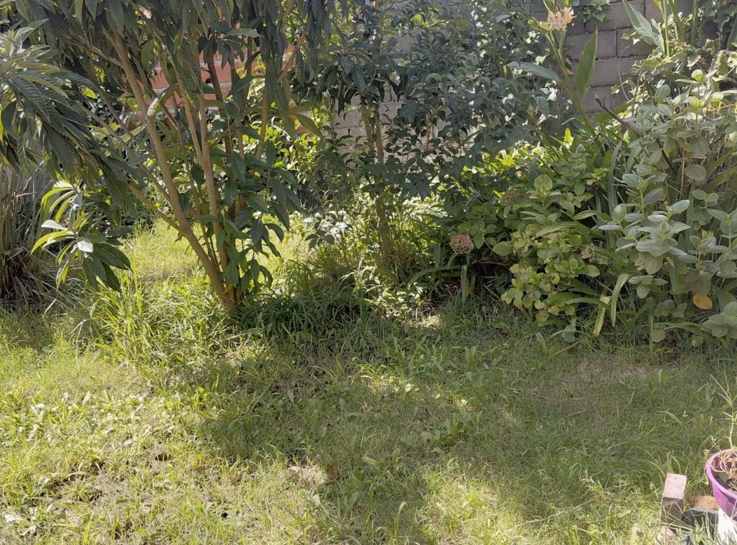 VENTA CASA DOS DORMITORIOS - CAPITAN BERMUDEZ 3