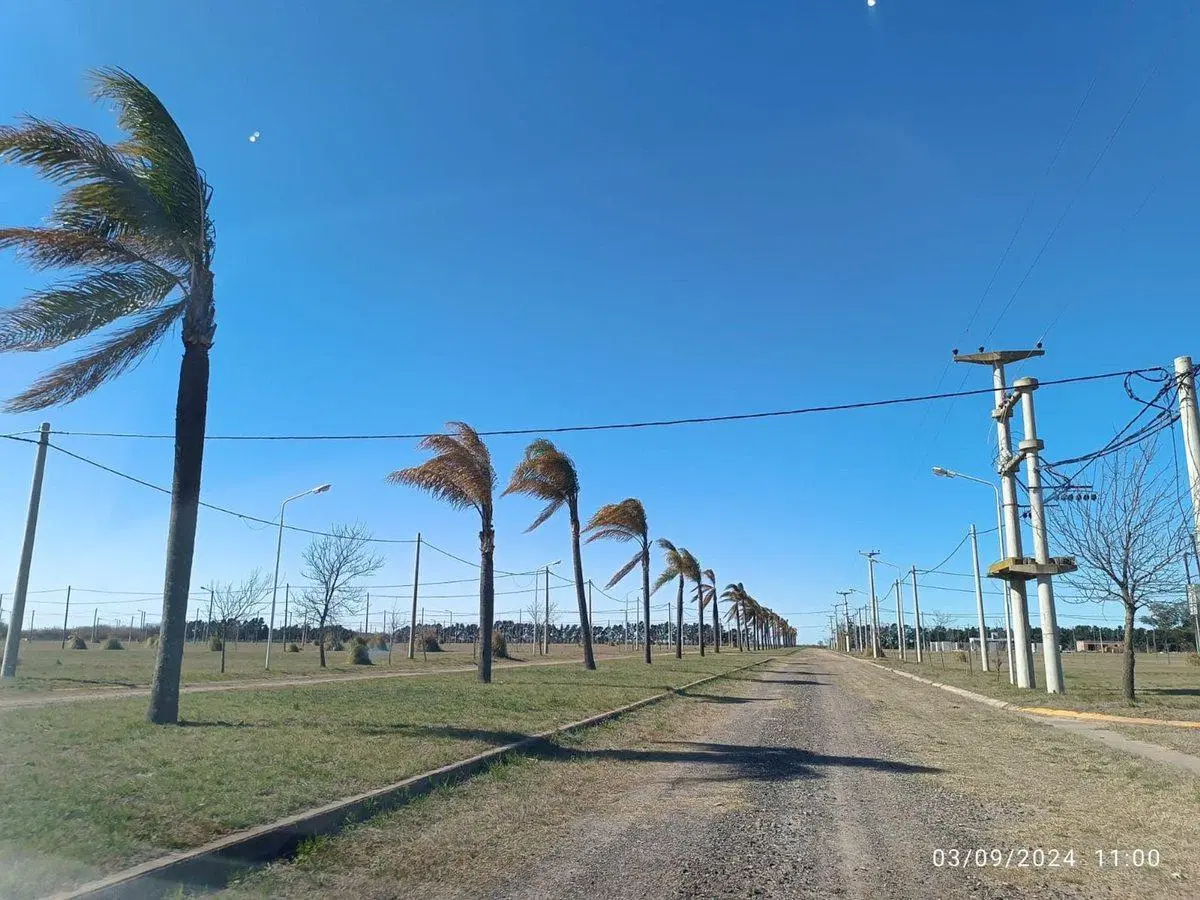 VENTA TERRENO 300m2 TIERRA DE SUEÑOS -  CASILDA 5