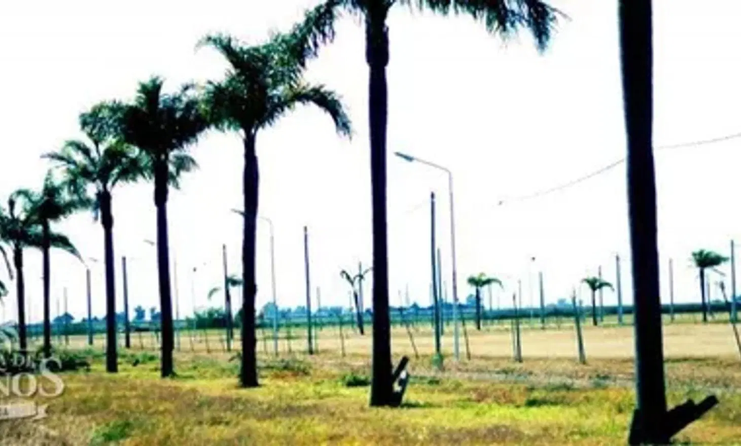 VENTA LOTE 300 m2 TIERRA DE SUEÑOS - CASILDA 5