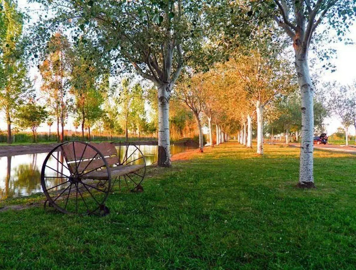 VENTA LOTE  PINARES DEL SUR, PIÑERO 3