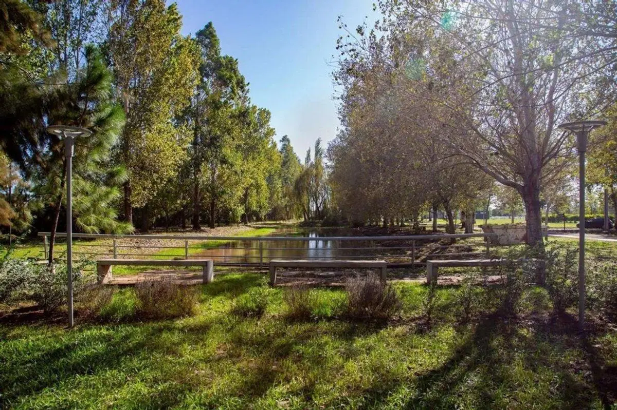VENTA LOTE  PINARES DEL SUR, PIÑERO 5