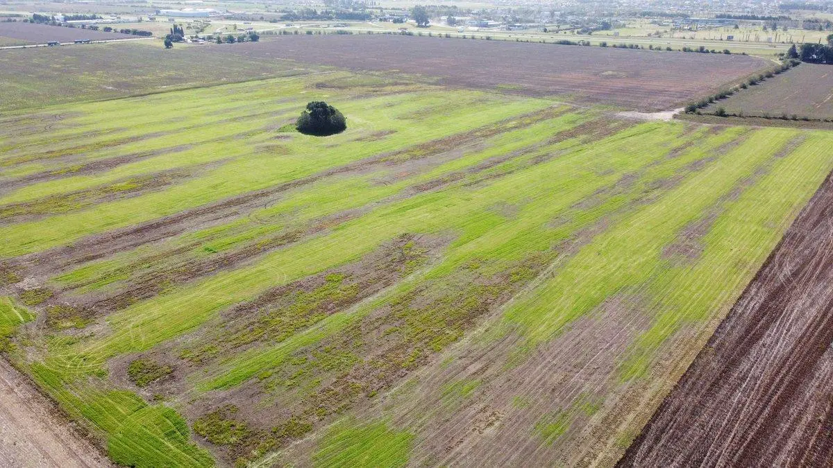 VENTA DE CAMPO SOBRE AUTOPISTA USO INDUSTRIAL 4