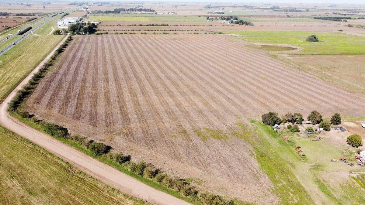 VENTA DE CAMPO SOBRE AUTOPISTA USO INDUSTRIAL 2