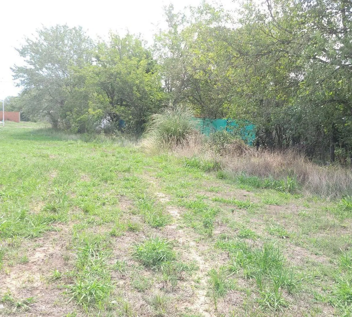 VENTA LOTE EN TIMBUES, LA RIVERA A 300MTS DEL RIO. 4