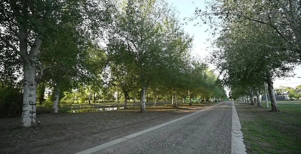 LOTE EN VENTA BARRIO PRIVADO PINARES DEL SUR 4