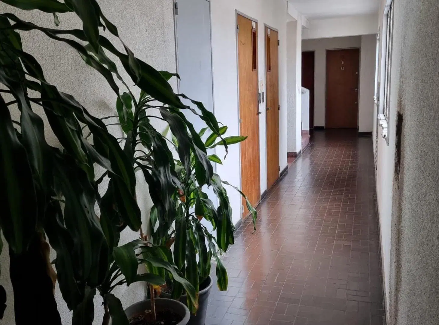 DEPARTAMENTO 1 DORMITORIOS BALCÓN  VENTA  ABASTO 2