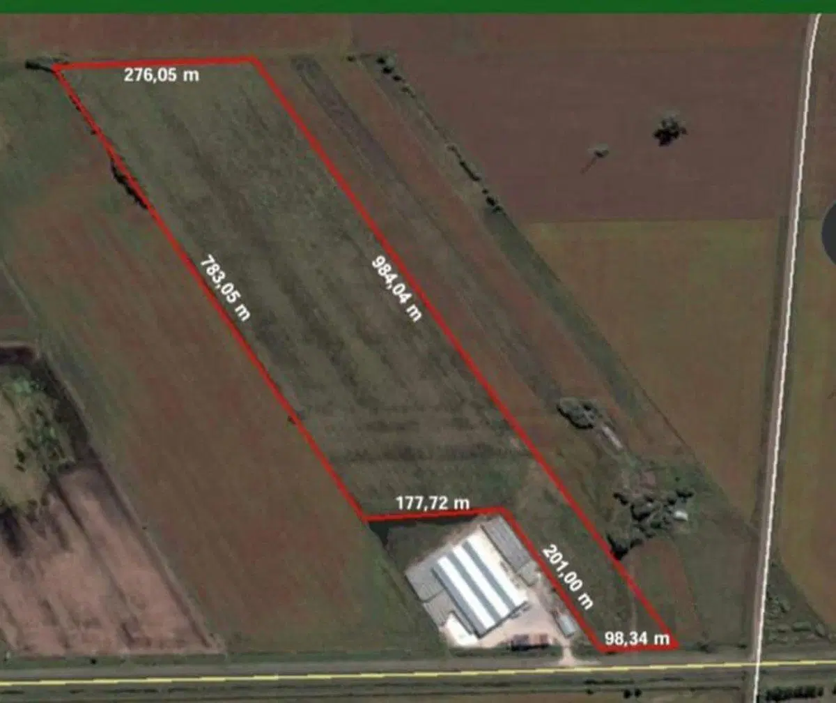VENTA DE 20 HECTAREAS  - ALVEAR - OPORTUNIDAD 2