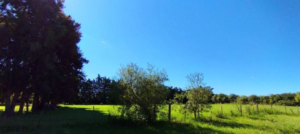 VENTA LOTE EN ACEVEDO ARROYO SECO 2