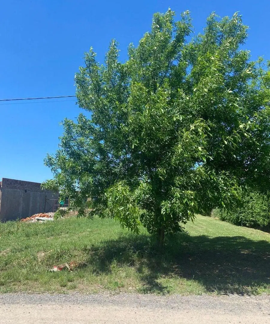 VENTA TERRENO DE 500,25 M2 FUNES CITY ESCRITURADO 5