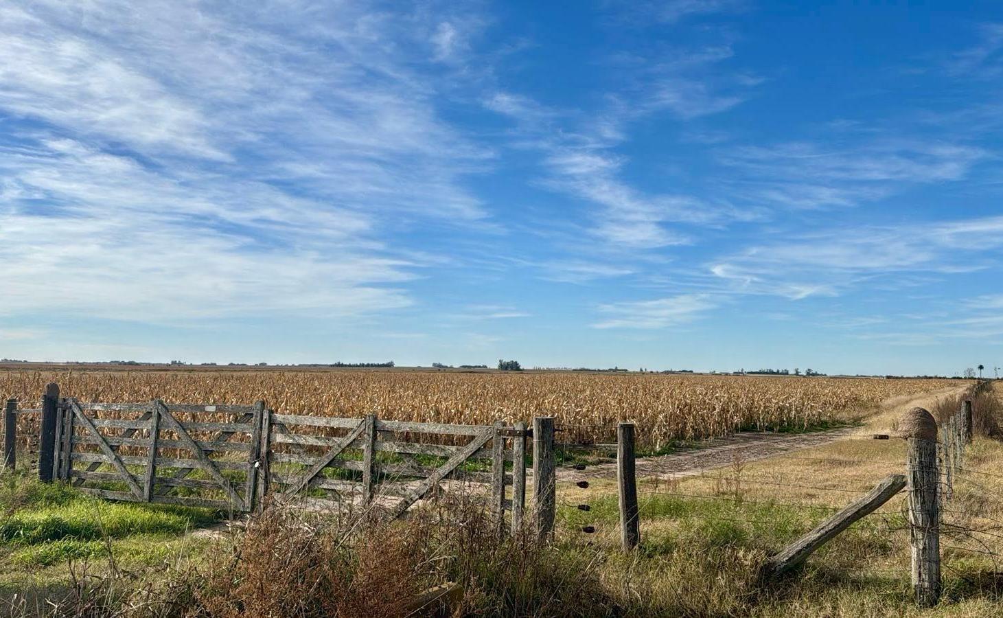Foto de venta campo, Villada, Santa Fe, imagen 2