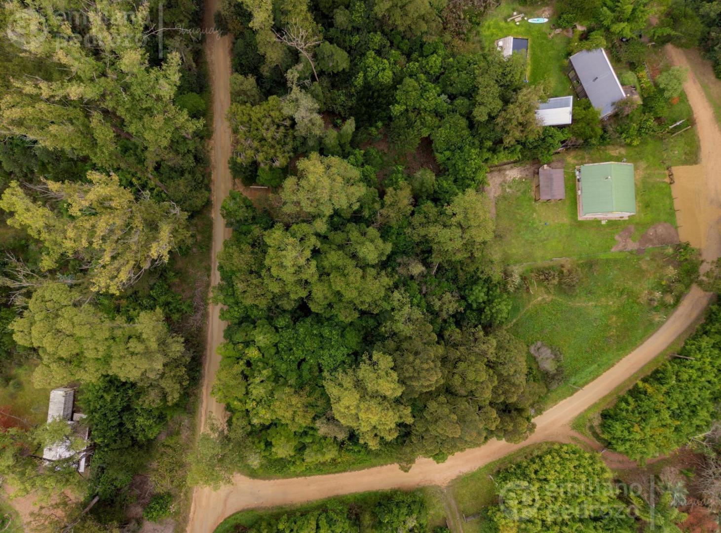 Foto de Terreno en venta en club del lago, imagen 4