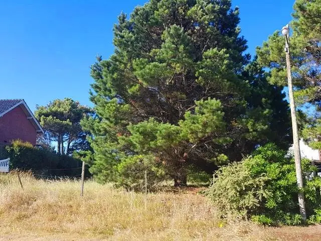 VENDO LOTE MULTIFAMILIAR  EN VALERIA DEL MAR A 100 M DEL MAR Y DE CARILO 3