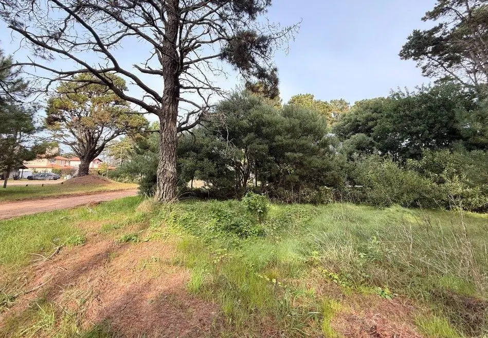 Lote Barrio Alamos - Pinamar Norte 3