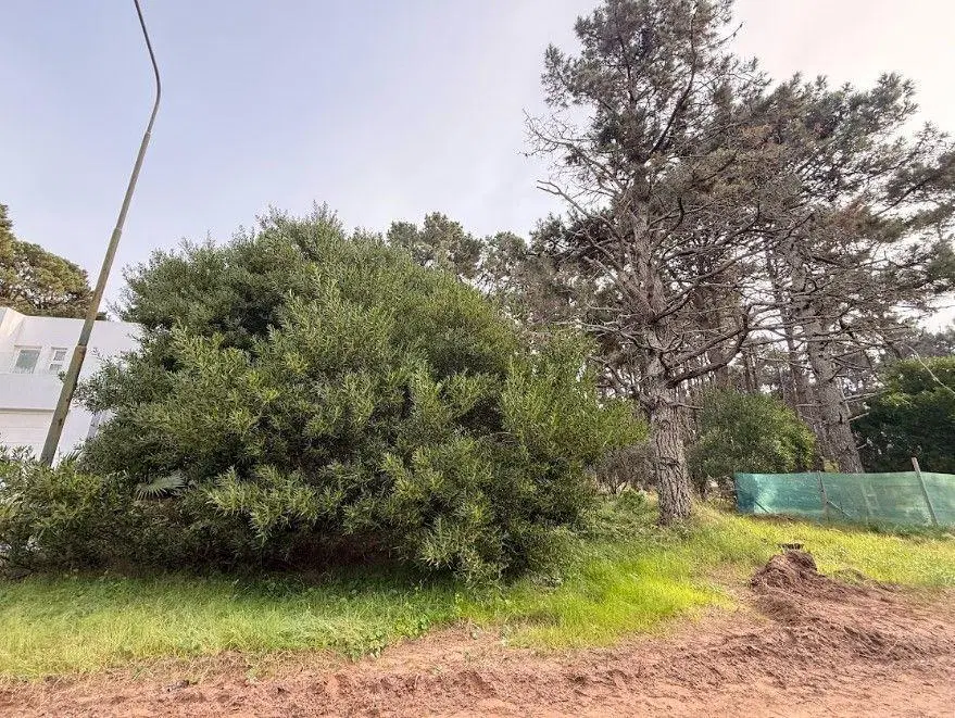 Lote Barrio Alamos - Pinamar Norte 5