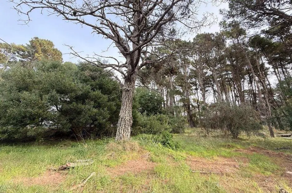 Lote Barrio Alamos - Pinamar Norte 2