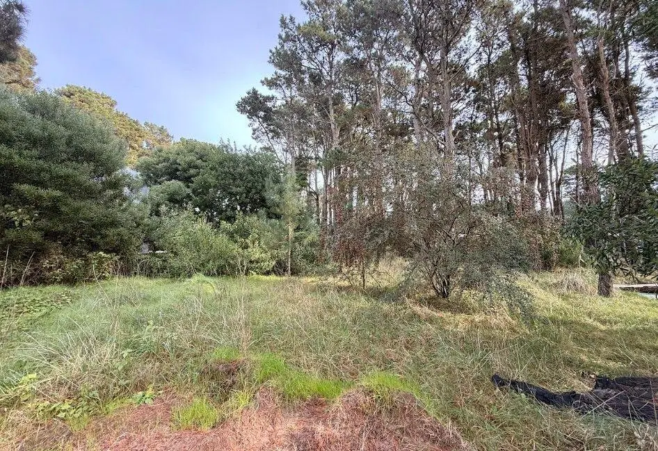 Lote Barrio Alamos - Pinamar Norte 4