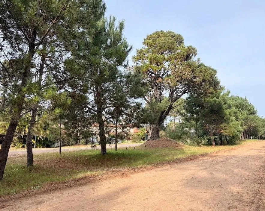 Lote Barrio Alamos - Pinamar Norte 8