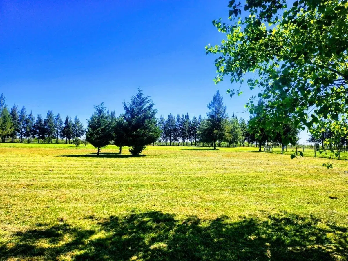 Lote Barrio Privado Fincas de San Vicente Golf 2