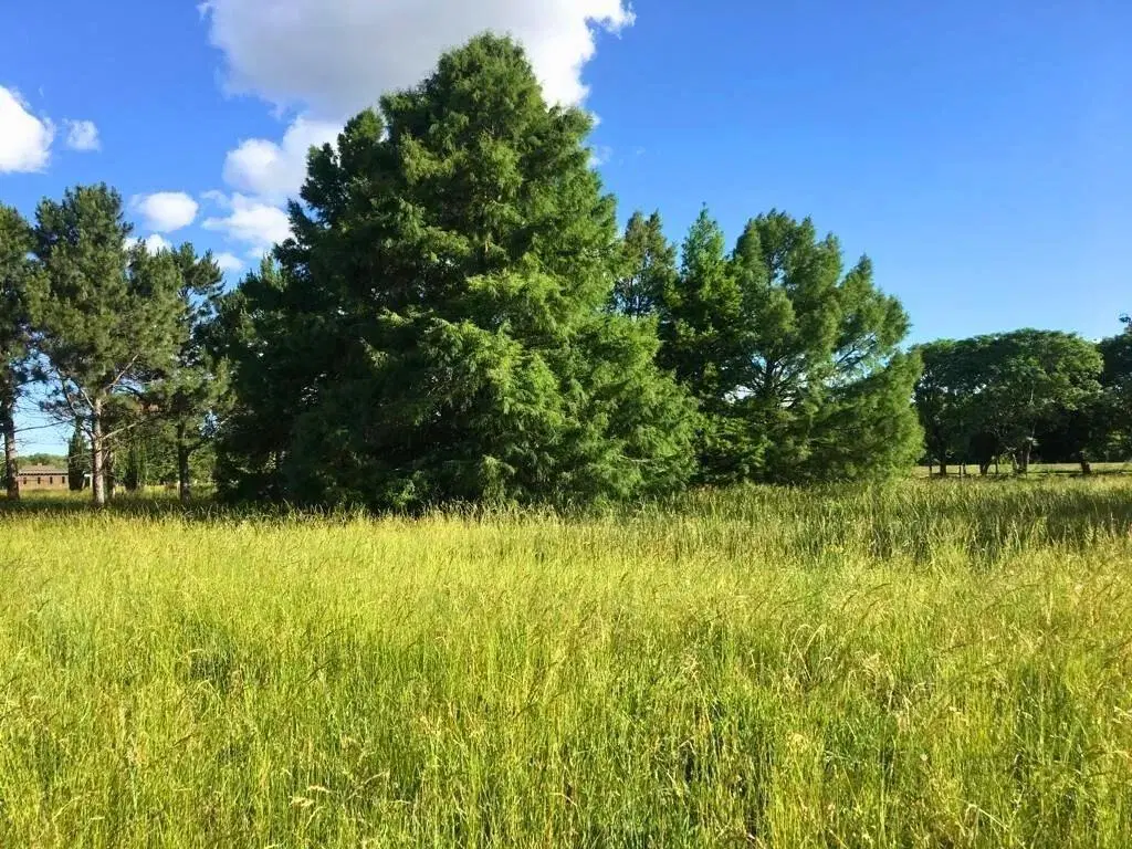 Lote en Venta Estancia Villa María 4