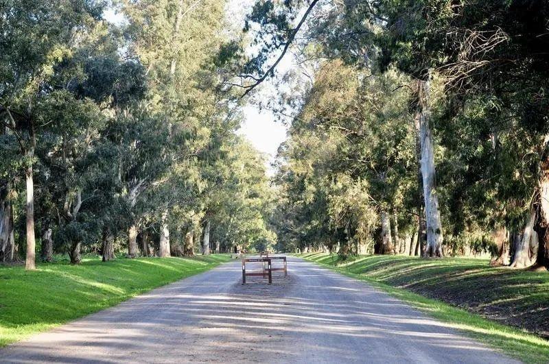 Foto de Lote Estancia Villa María, imagen 1