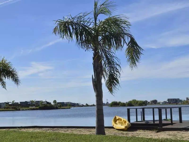 Foto de Lote Barrio Privado Santa Rita, imagen 1