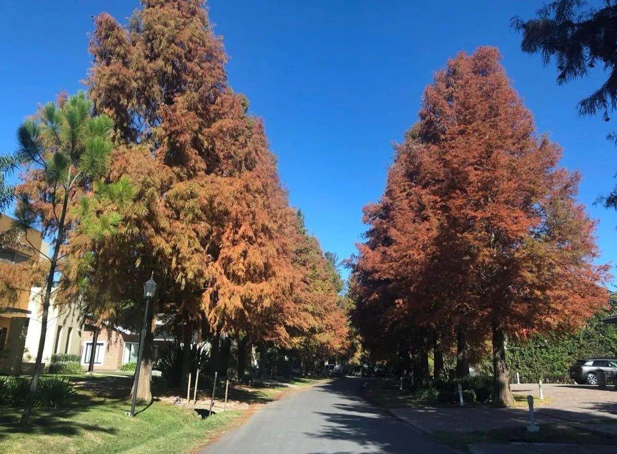Foto de Lote a La Laguna Barrio Privado El Lauquén, imagen 3