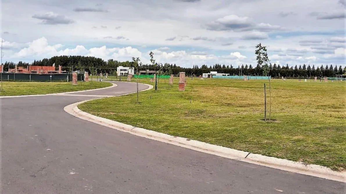 Foto de Lote Barrio Privado San Felipe, imagen 4