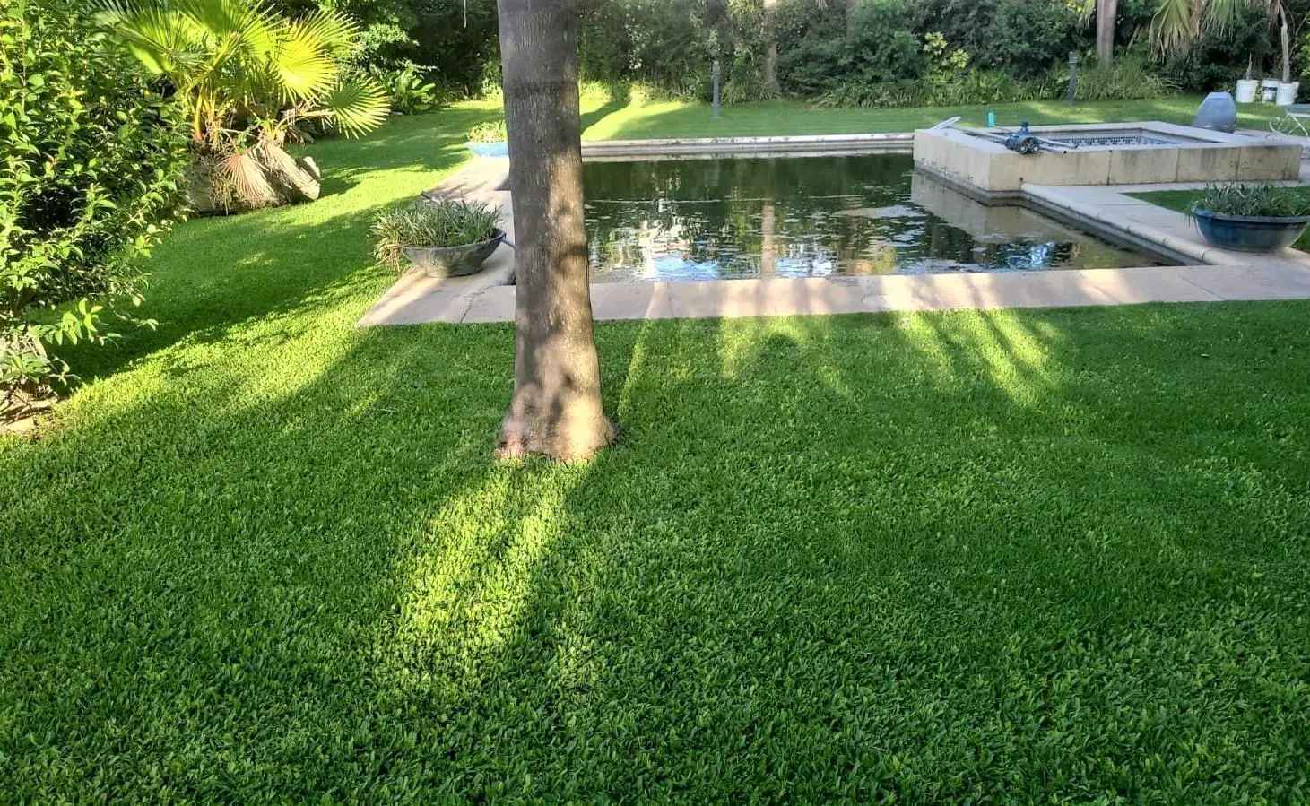 Lote Venta Campo Chico Country Club 4