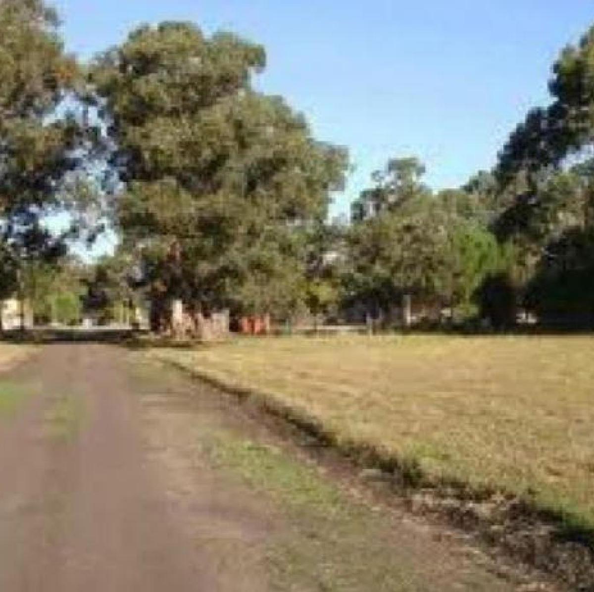 Terreno en Venta - 217 m² - Miramar 4