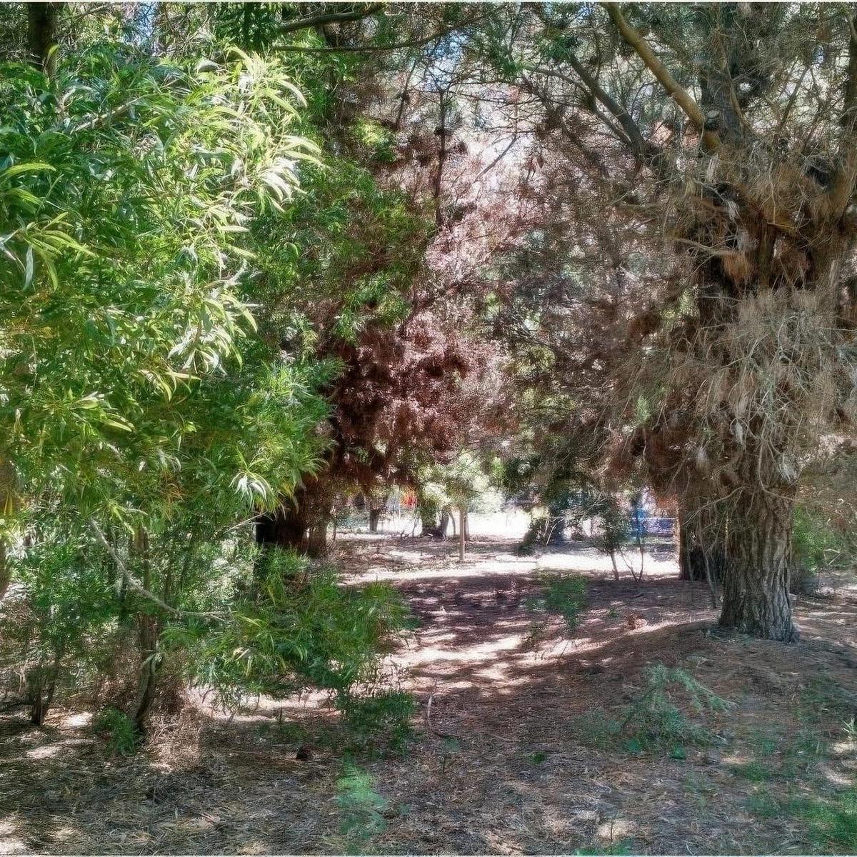 Terreno en Venta - 500 m² - Nueva Atlantis 5