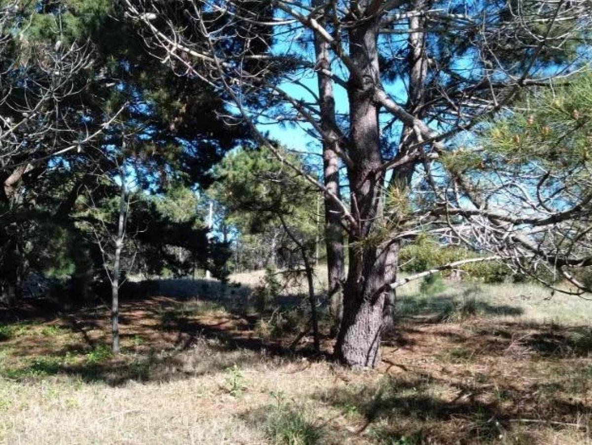 Terreno en Venta - 685 m² - Las Gaviotas 1