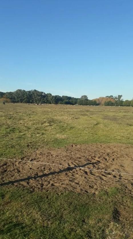 Chacra en Venta - 6ha - La Lucila del Mar 2