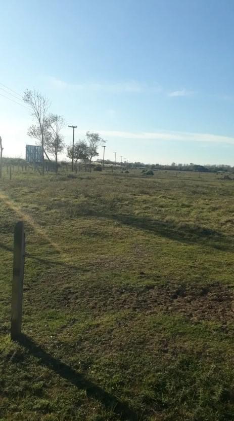 Chacra en Venta - 6ha - La Lucila del Mar 4