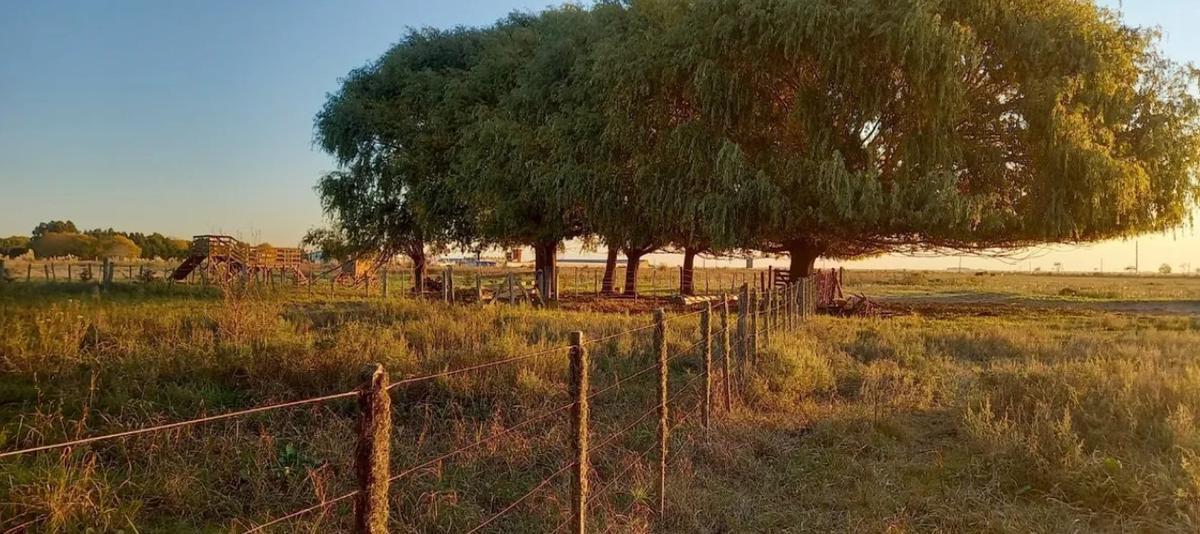 Chacra en Venta - 6ha - La Lucila del Mar 5