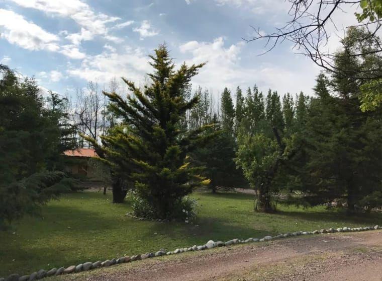 Casa en Venta - 5 Dorm. 4 Baños - Cocheras - 30.780 m² - Rama Caída, San Rafael 3