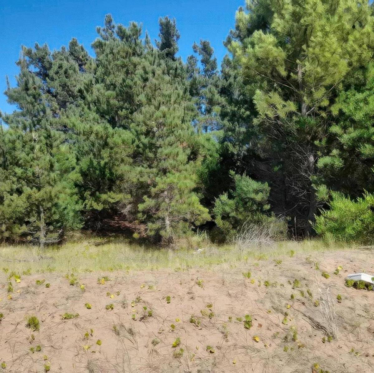 Terreno en Venta - 1100 m² - Senderos III, Costa Esmeralda 4