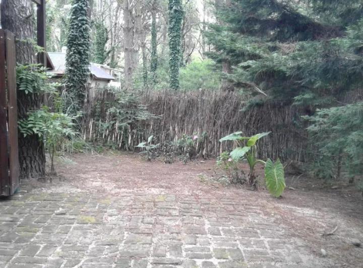 Edificio Comercial en venta - 2 Cabañas - 555mts2 - Costa del Este 2