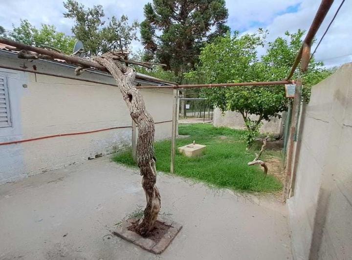 Casa en venta - 4 Dormitorios 2 Baños 1 Cochera - 150Mts2 - Brandsen 5