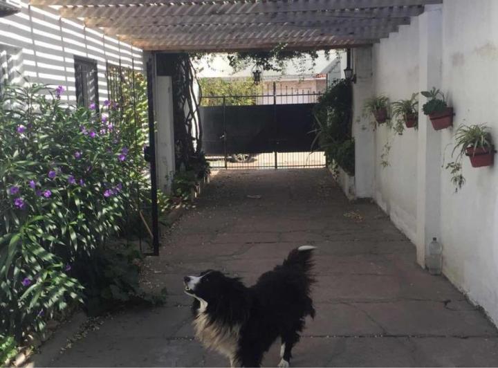 Casa en venta - 3 Dormitorios 2 Baños - Cocheras - 128Mts2 - Necochea 3