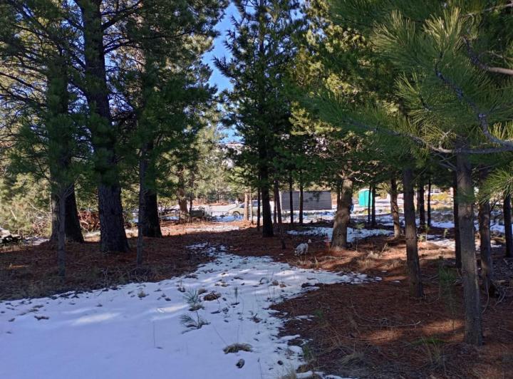 Casa en venta - 2 Dormitorios 1 Baño - San Carlos de Bariloche 4