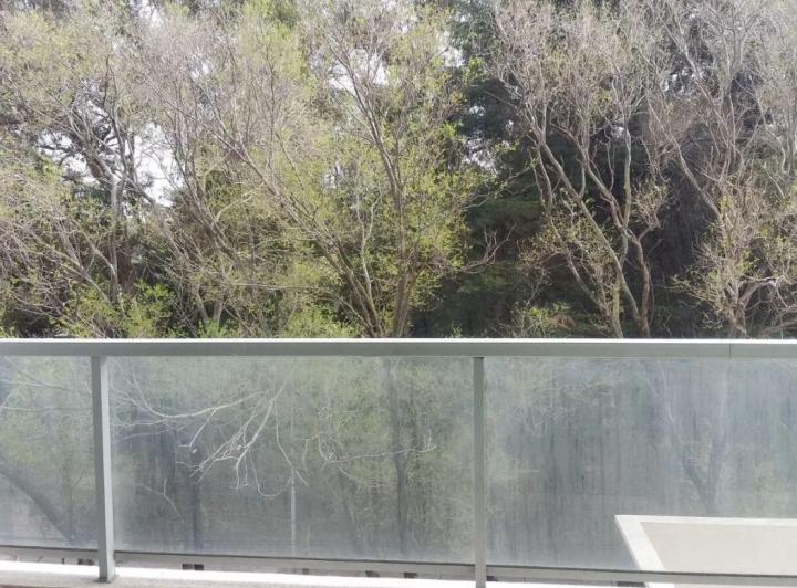 Departamento en venta - 1 dormitorio 1 baño - 77mts2 - Necochea 2
