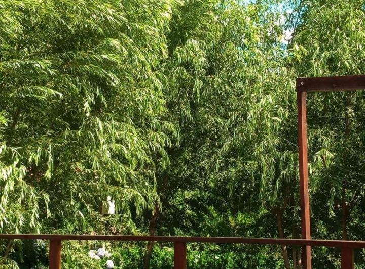 Foto de Casa en venta - 1 Dormitorio 1 Baño - 1.012Mts2 - Tigre, imagen 1