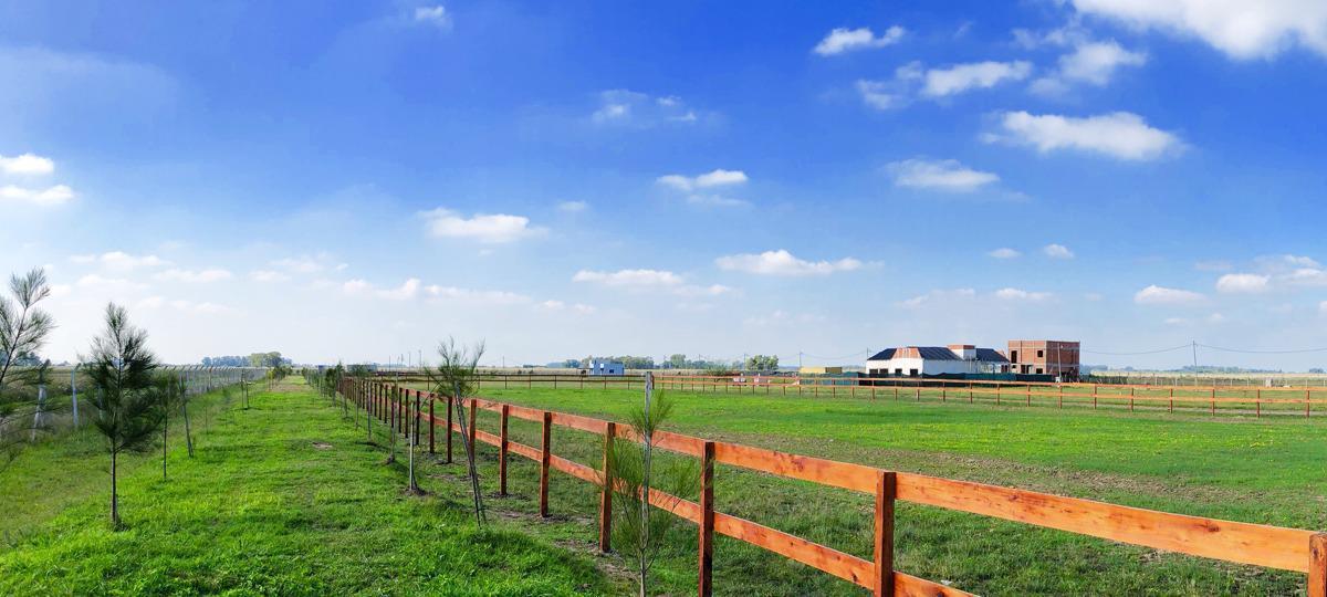Terreno en venta - 1000 mts2 - Campos de La Enriqueta