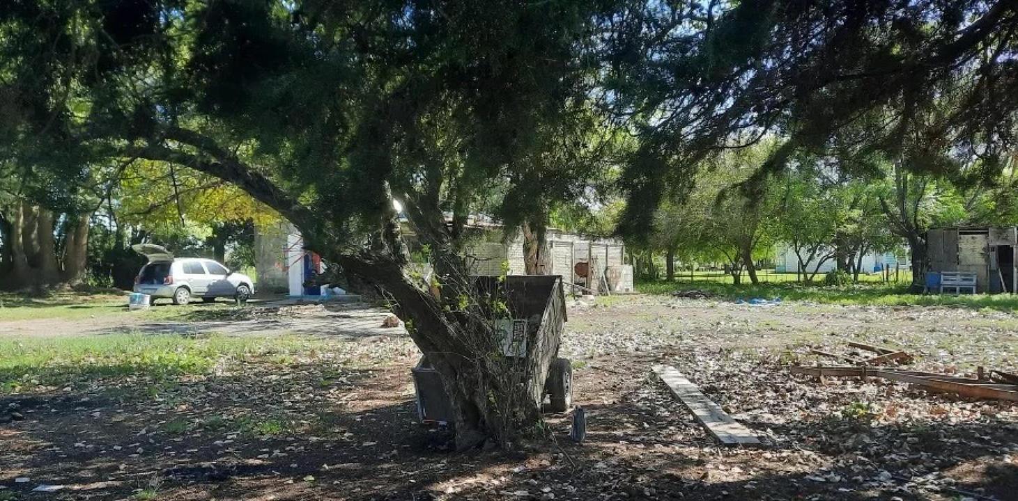 Terreno en venta - 12.000Mts2 - Magdalena