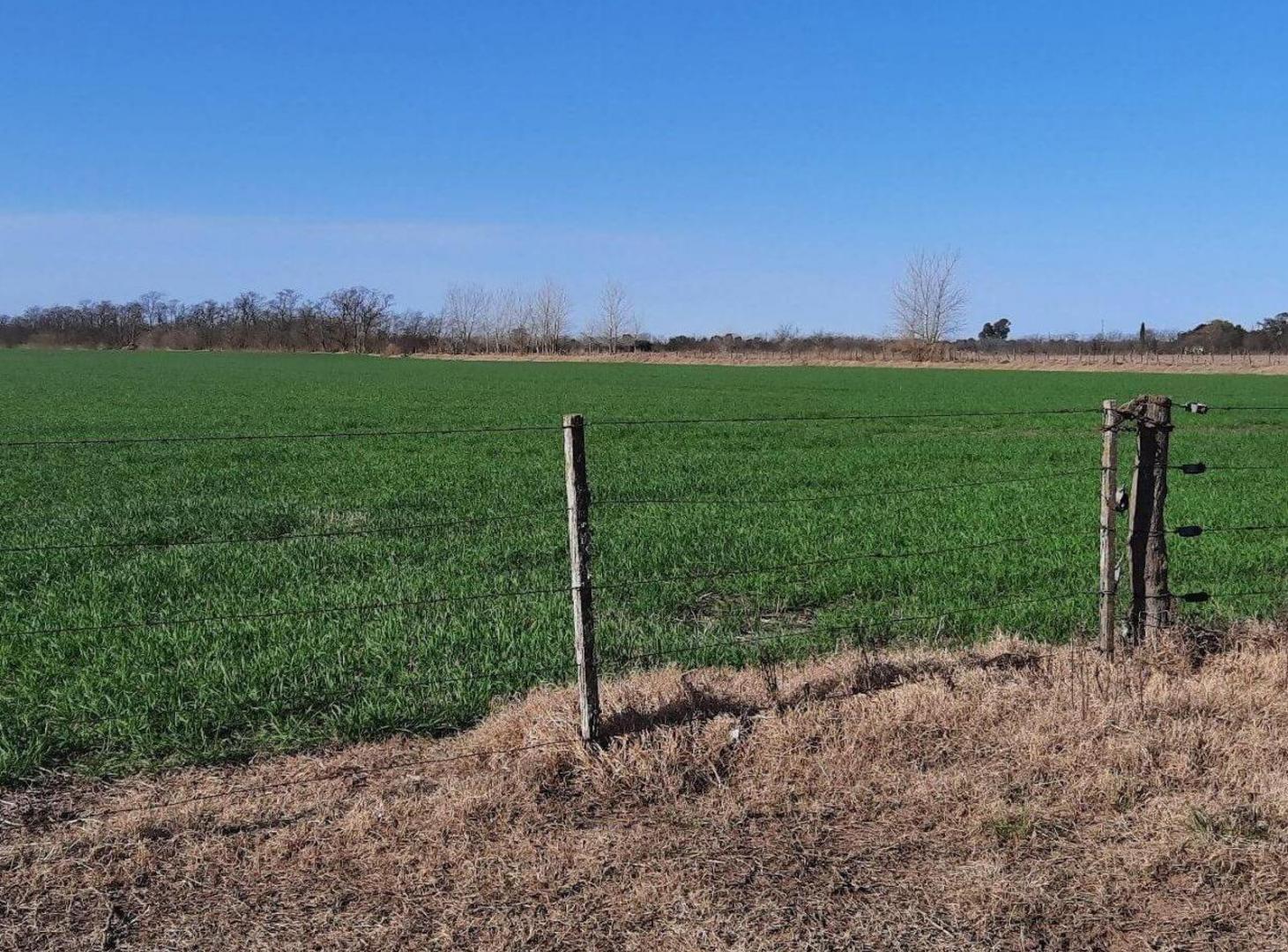 Terreno en venta - 33.093Mts2 - Chivilcoy