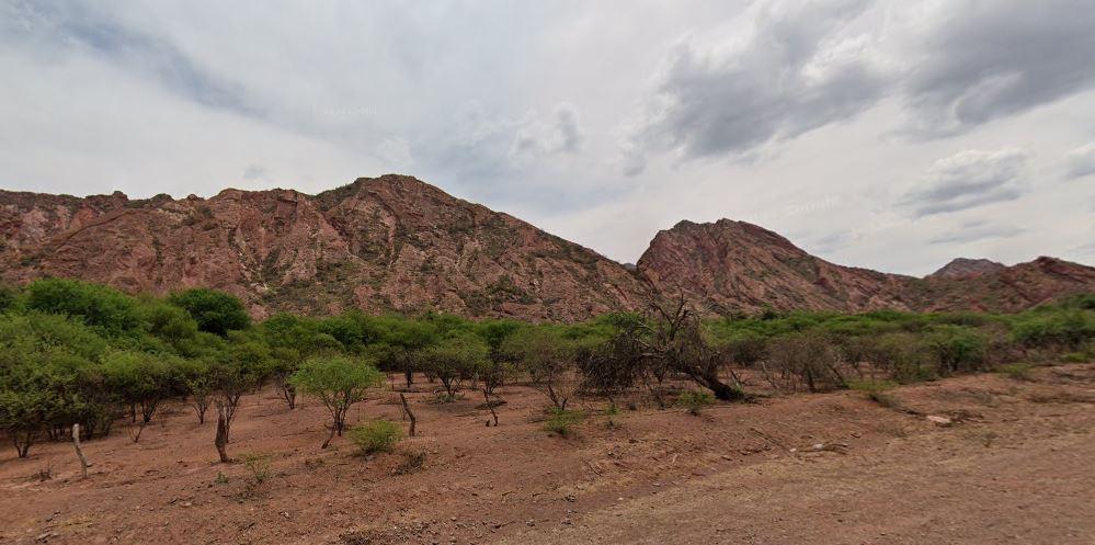 Terreno en venta - 19.000Mts2 - Alemania, Salta